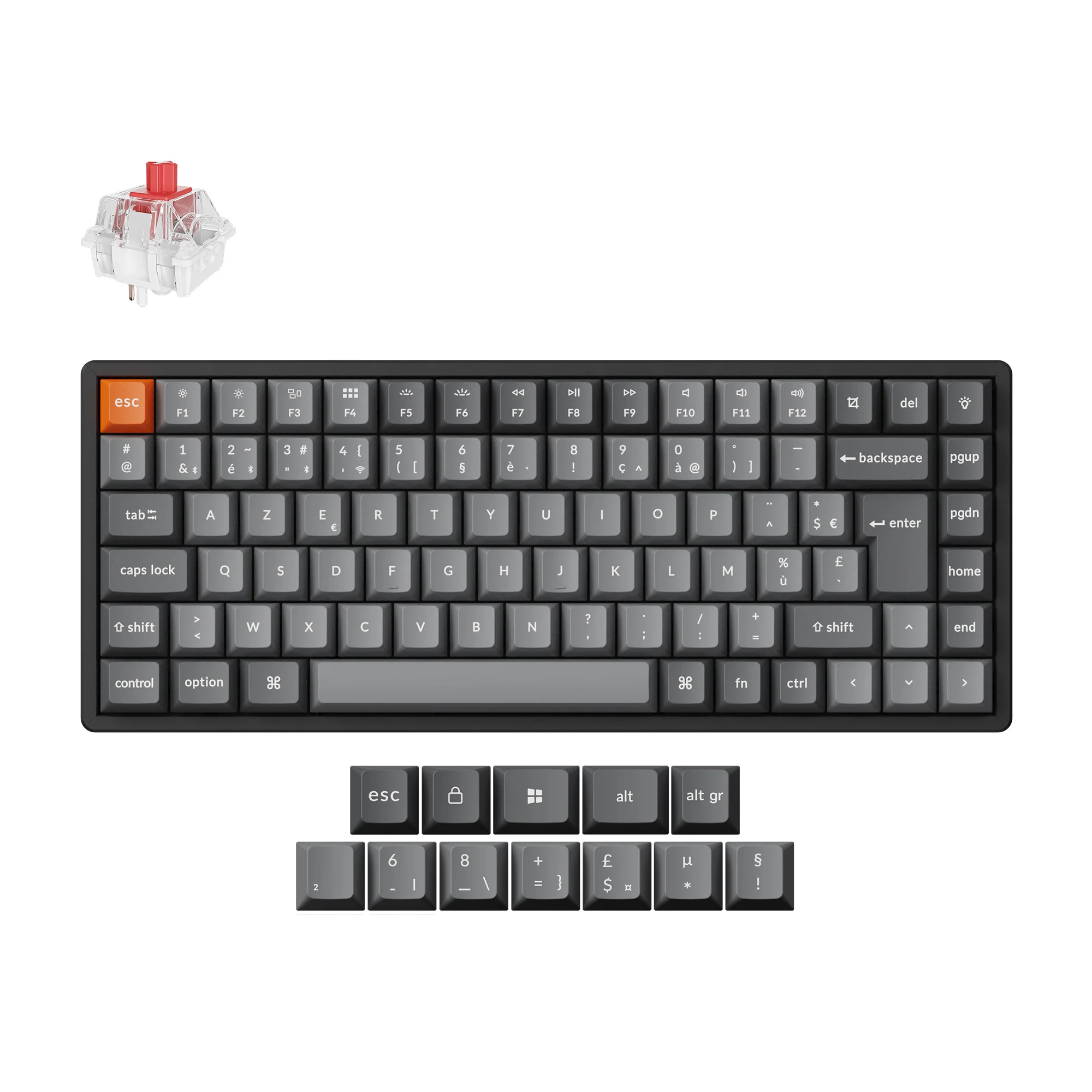 Product image 19
